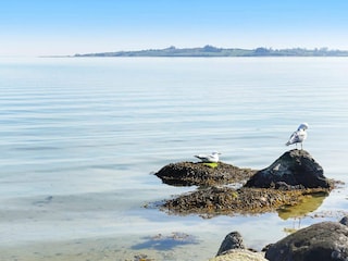 Ferienhaus Sønderballe Außenaufnahme 4