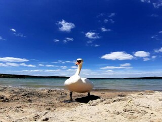 Holiday house Welt Environment 21