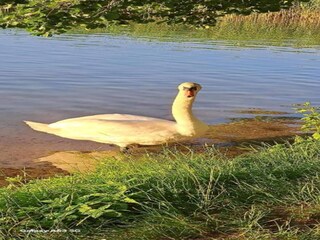 Maison de vacances Welt Environnement 21