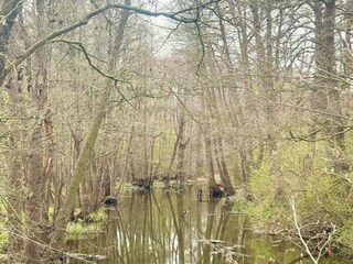 Vakantiehuis Welt Omgeving 29