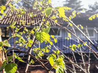 Holiday house Bunken  48