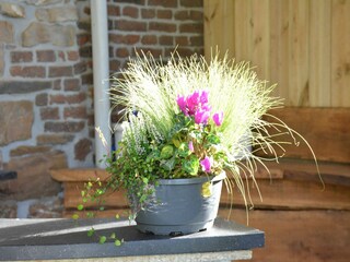 Casa per le vacanze Erezée  39