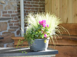 Maison de vacances Erezée  35