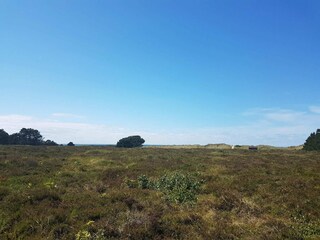 Vakantiehuis Læsø  31