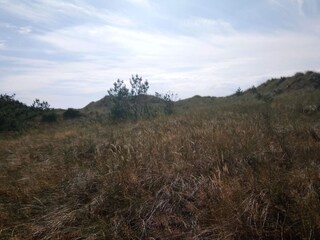 Casa de vacaciones Læsø  44