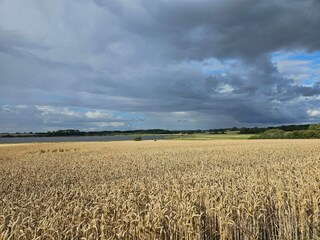 Maison de vacances Assens  28