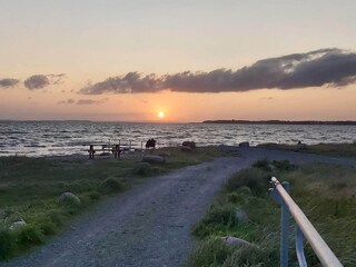 Maison de vacances Assens  24