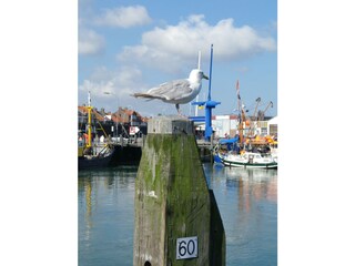 Casa per le vacanze Breskens Ambiente 17