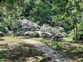 Ferienhaus Sæby  20
