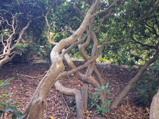 Maison de vacances Sæby  23