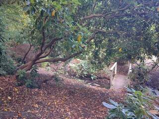 Ferienhaus Sæby  21