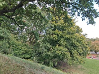 Vakantiehuis Sæby  35