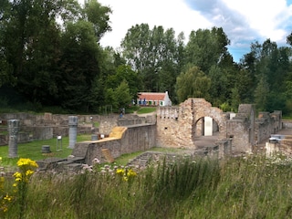 Maison de vacances Koksijde Environnement 32