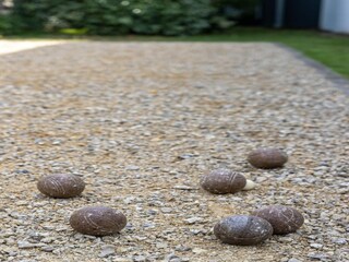 Vakantiehuis Koksijde  37