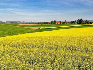 Maison de vacances Glemmingebro  8