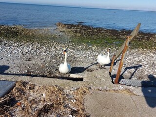 Appartement Bogense  36