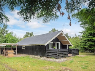 Ferienhaus Stauning Außenaufnahme 7