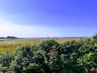 Vakantiehuis Stauning Buitenaudio-opname 8