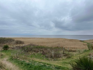 Ferienhaus Stauning Außenaufnahme 10