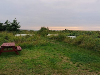 Ferienhaus Stauning Außenaufnahme 3
