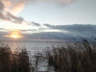 Ferienhaus Stauning  31