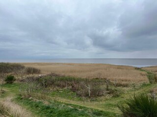 Vakantiehuis Stauning Buitenaudio-opname 6