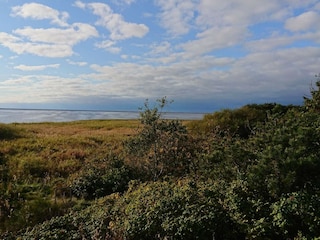 Ferienhaus Stauning Außenaufnahme 2