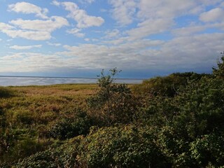 Vakantiehuis Stauning Buitenaudio-opname 2