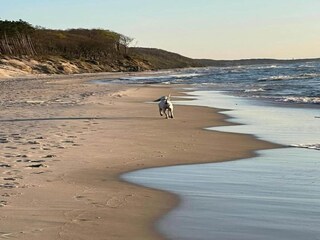 Bungalow Rowy Environnement 32