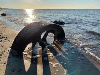 Bungalow Rowy Environnement 22