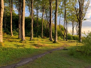 Bungalow Rowy Umgebung 25