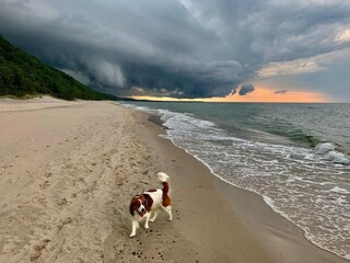 Bungalow Rowy Ambiente 25