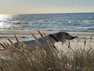 Bungalow Rowy Ambiente 27