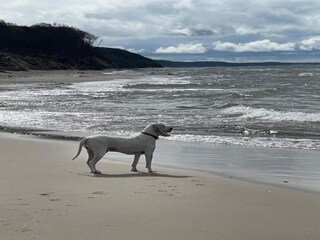 Bungaló Rowy Entorno 28