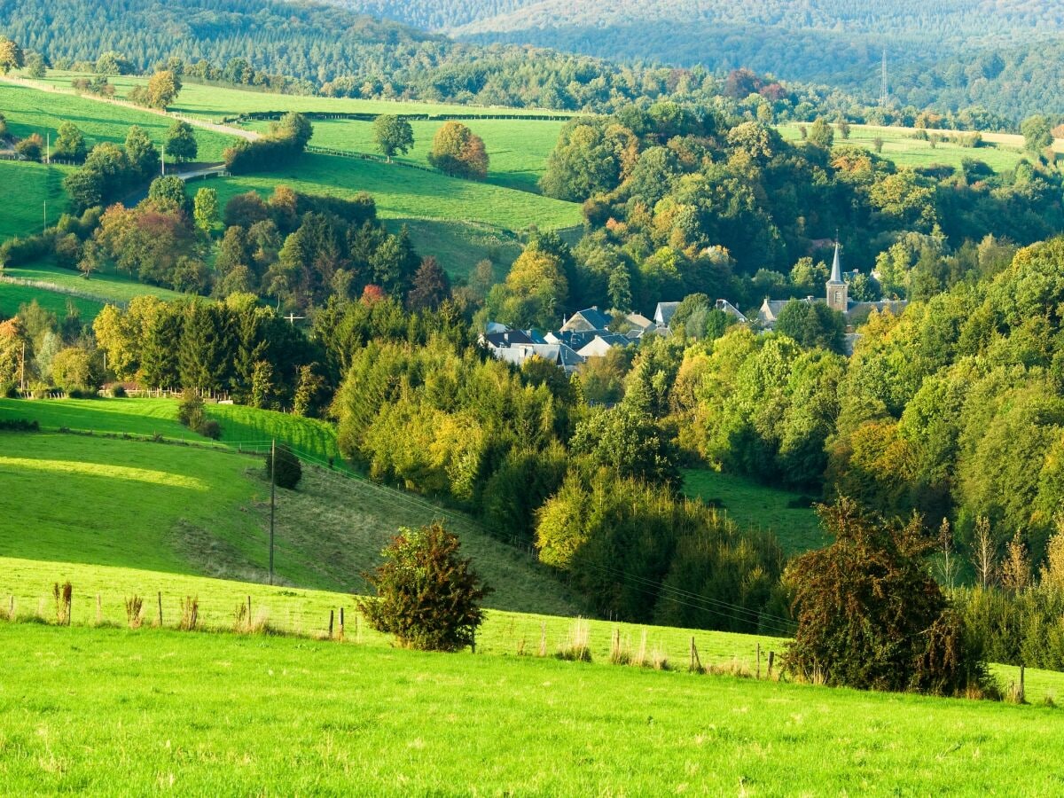 Ferienhaus La Roche-en-Ardenne Umgebung 20