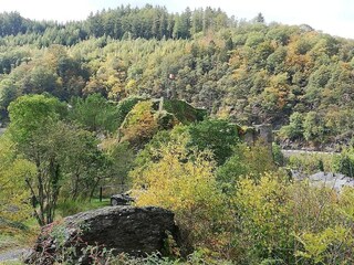 Vakantiehuis La Roche-en-Ardenne Omgeving 28