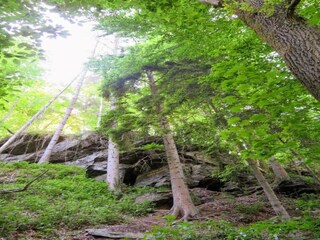 Casa per le vacanze La Roche-en-Ardenne Ambiente 33