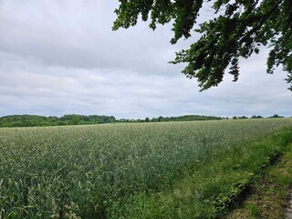 Maison de vacances Hejlsminde  18