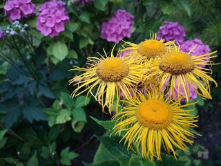 Casa de vacaciones Hejlsminde  25