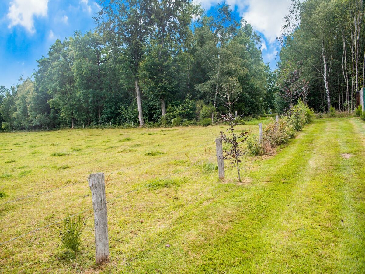 Chalet Gouvy Umgebung 18