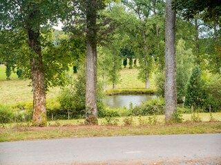 Chalet Gouvy Umgebung 22