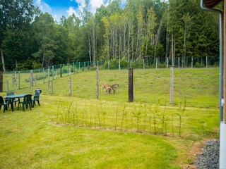 Chalet Gouvy Buitenaudio-opname 6