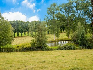 Chalet Gouvy Omgeving 16