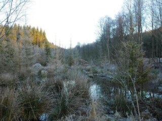 Chalet Gouvy Environment 26