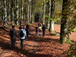 Chalet Gouvy Umgebung 20