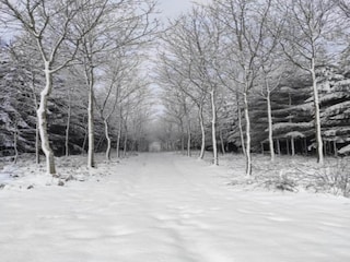 Chalet Gouvy Environnement 36