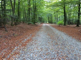 Chalet Gouvy Environnement 34