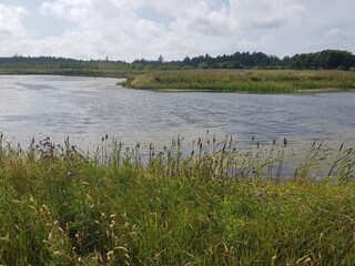 Maison de vacances Løkken  35