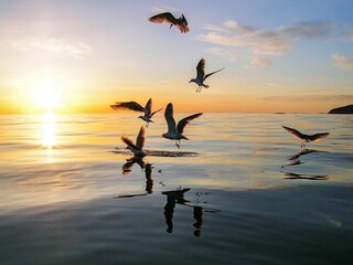 Casa per le vacanze Nord-Norwegen  7