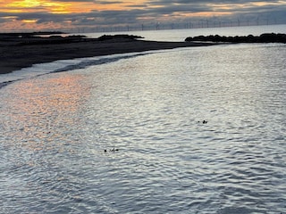 Ferienhaus Hyldtofte  39